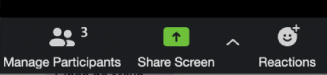 the location of the "share screen" button on Zoom, at the bottom, between "manage participants" and "reactions"